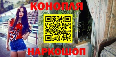 стафф Партизанск
