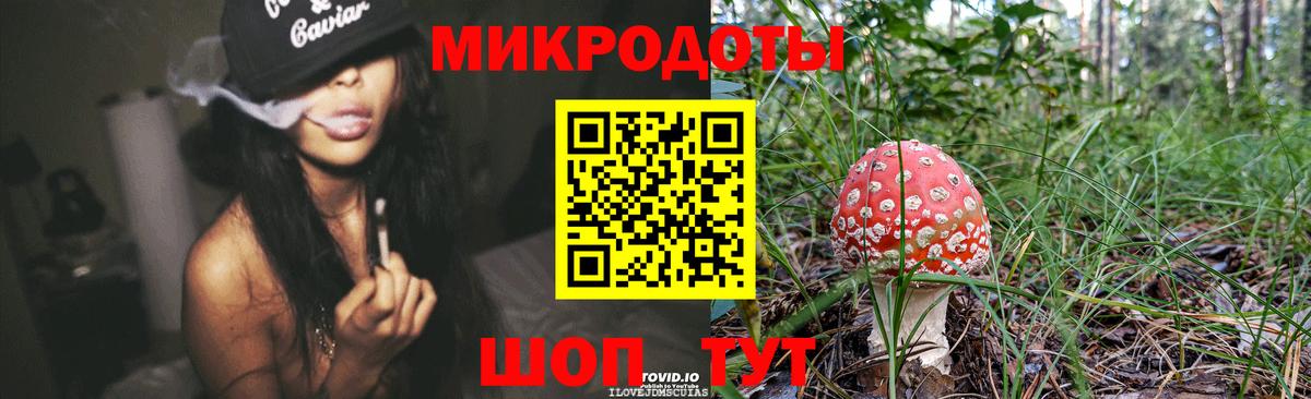 Нижнекамск  Галлюциногенные грибы Cubensis  Вход с VPN 