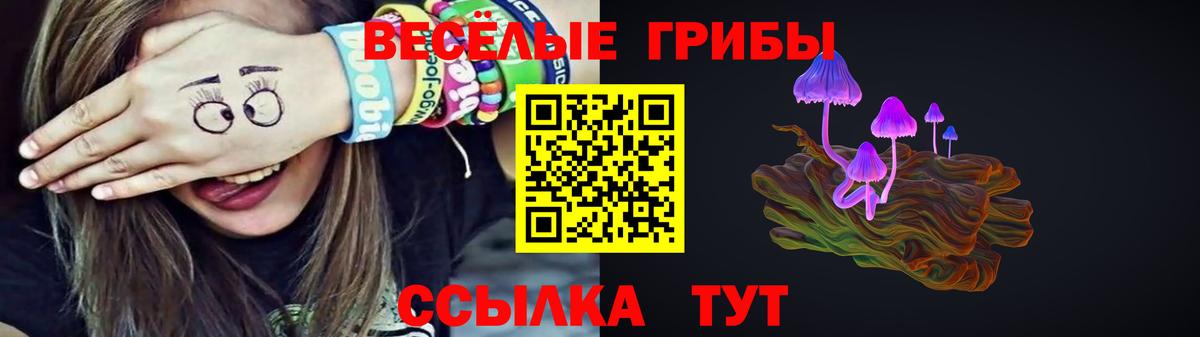 Галлюциногенные грибы Psilocybe Нижнекамск